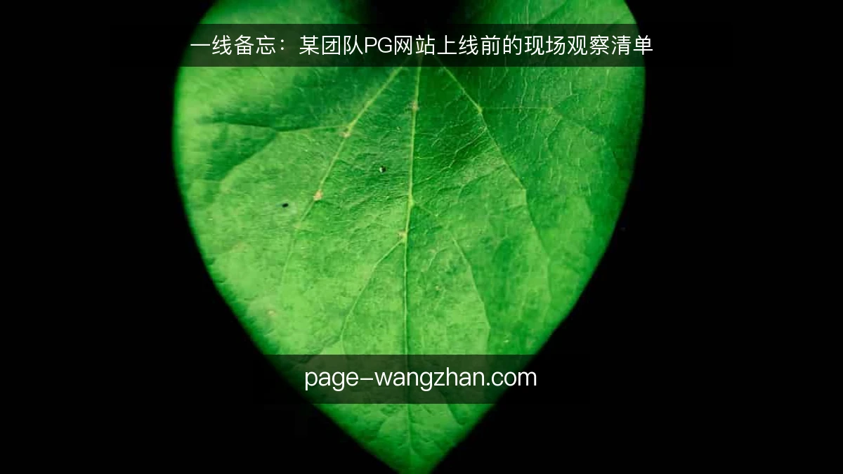 一线备忘：某团队PG网站上线前的现场观察清单